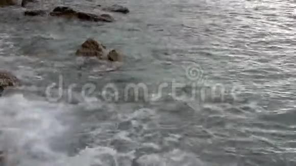 野海浪中的鱼溅视频的预览图