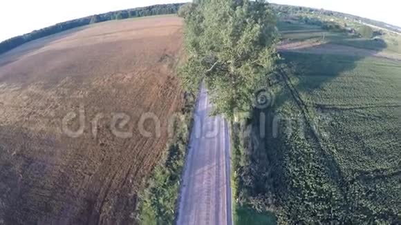 飞越乡间公路无人驾驶飞机撞上大树视频的预览图