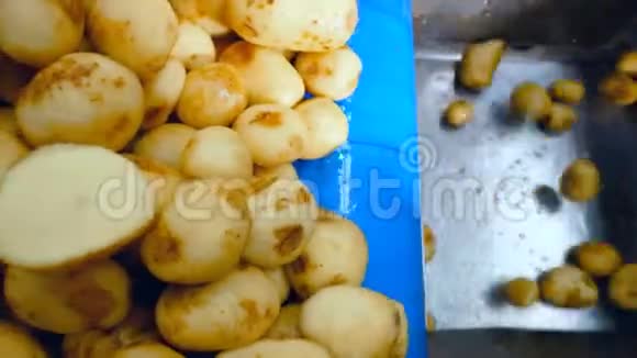 洗过的土豆从传送带上掉到食品生产设施的盒子里视频的预览图
