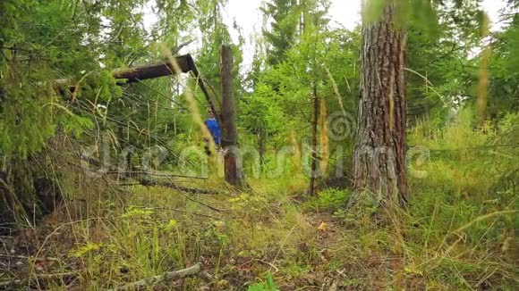 一个戴着棒球帽的游客背着背包在森林里旁边是一棵倒下的树视频的预览图