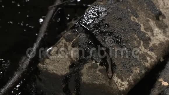 废弃工业建筑中含有石油有毒产品的蜥蜴视频的预览图