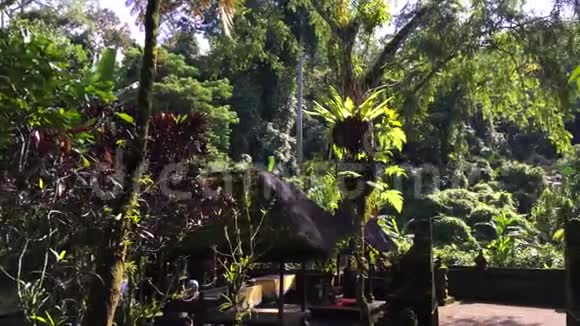 印度尼西亚巴厘岛的PuraLuhurBatukaru寺4k录像视频的预览图