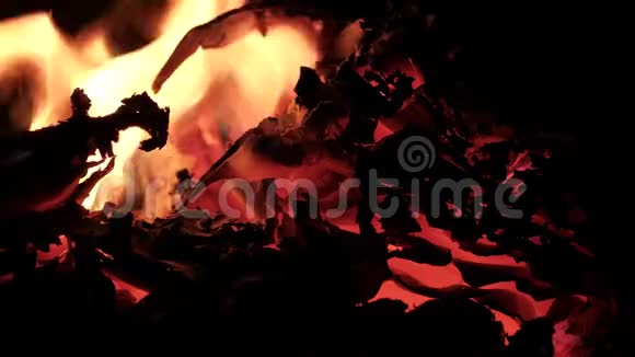 纸在火中燃烧视频的预览图