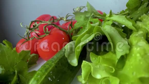 洋葱和西红柿黄瓜生菜在自来水下冲洗后滴在水中视频的预览图