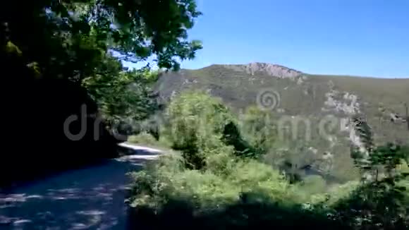 希腊北部树木之间的山地乡村公路视频的预览图