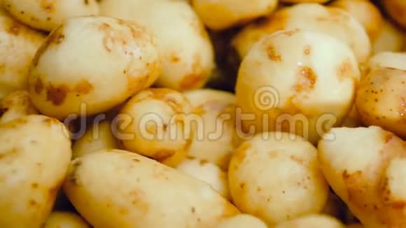 一堆剥皮的土豆存放在食品厂视频的预览图