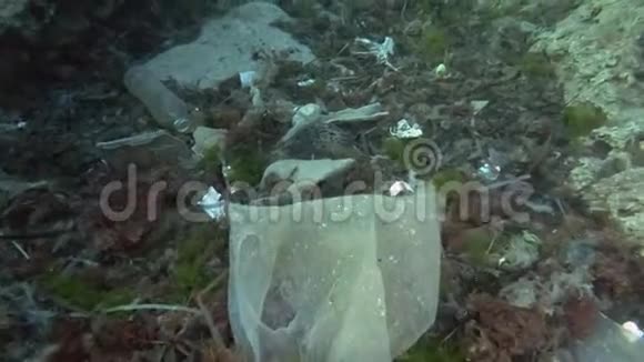 塑料污染螃蟹在一个塑料杯里慢慢地游过底部上面覆盖着很多塑料垃圾视频的预览图