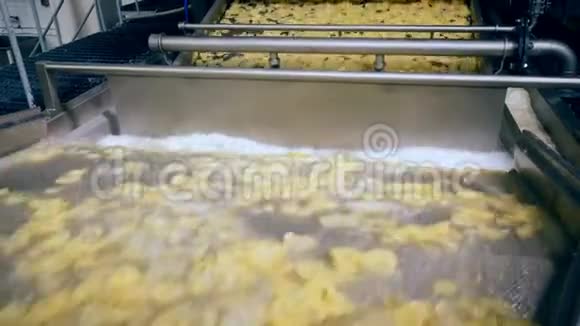 马铃薯薯片在工厂输送机上经过清洗和切割后在工厂内移动视频的预览图