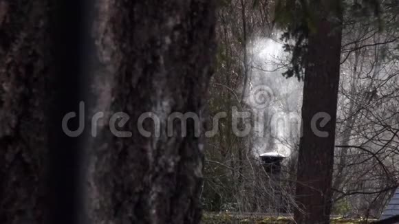 木制树干和烟囱在森林中吸烟视频的预览图
