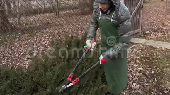 女园丁修剪灌木丛的边缘视频的预览图