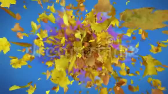爆炸的秋叶背景视频的预览图
