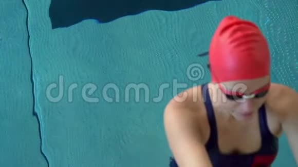 动作女运动员从后面开始游泳女子游泳运动员背在水下视频的预览图