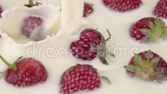 成熟的草莓和牛奶视频的预览图
