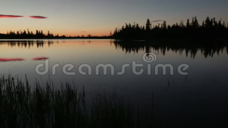 清晨鱼在平静的湖面上跳跃视频的预览图