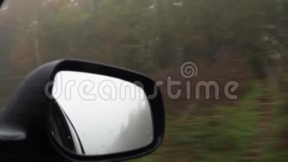 雨秋天气下森林道路侧后视镜反射视频的预览图