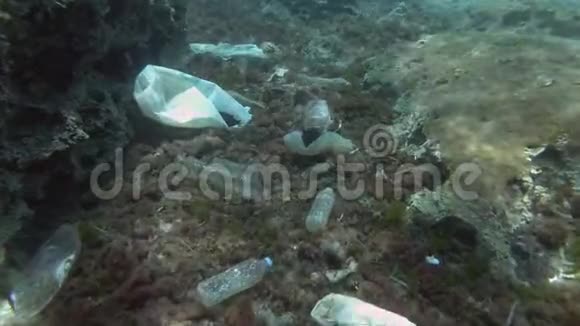 塑料污染慢动作热带鱼游泳在海底覆盖了大量塑料垃圾视频的预览图