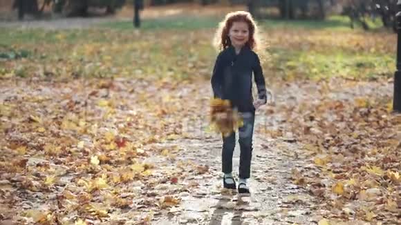 一个小可爱的红头发女孩跑着一个秋天的公园视频的预览图