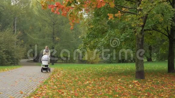 一个女人在秋天的公园里带着婴儿车走着视频的预览图