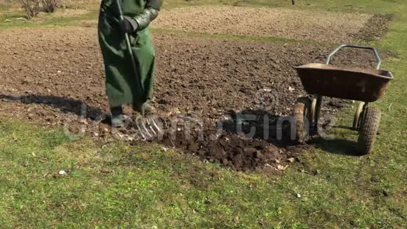 妇女使用叉子种植土壤的概念视频的预览图