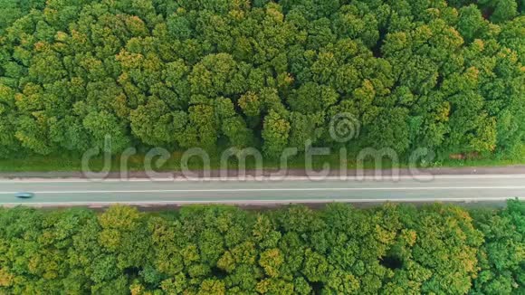 在森林中快速行驶的汽车的空中视野4K视频的预览图