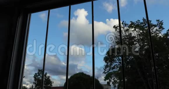 树靠在蓝天和云上从窗户看到酒吧视频的预览图