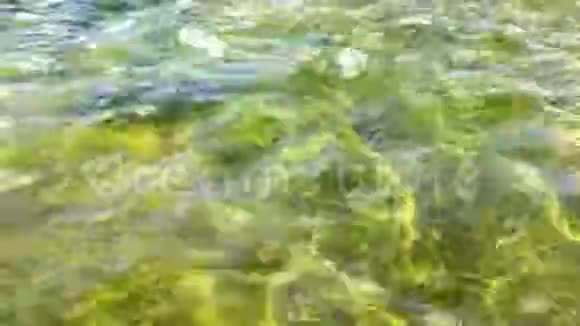 绿色的火花水视频的预览图