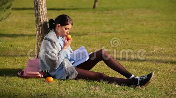 穿着短裤和运动鞋的漂亮长腿可爱的黑发女孩坐在靠近树的草地上在笔记本上写字吃苹果视频的预览图