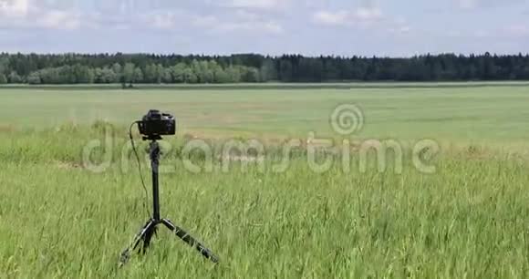 在森林和蓝天的背景下在一个绿色的大田野里拍摄相机和三角架视频的预览图