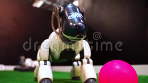 宠物狗机器人玩球视频的预览图