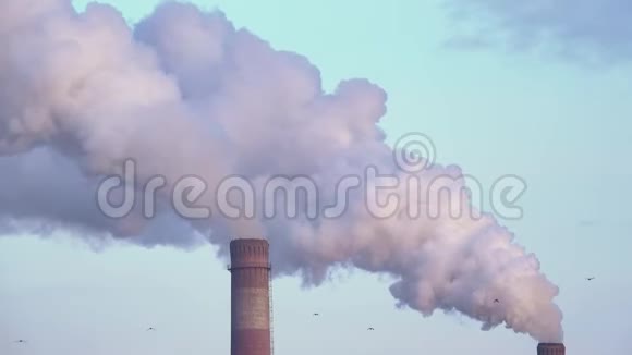污染工厂在日落002视频的预览图