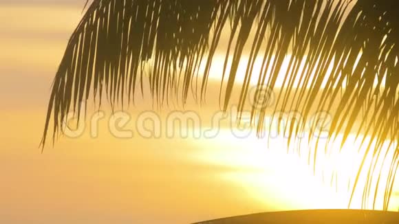 棕榈树在岛上美丽的橙色日出上留下剪影视频的预览图