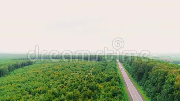 空中飞行在汽车上沿着森林环绕的道路行驶4K视频的预览图