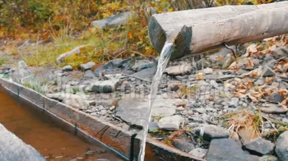 一种干净透明的山水流从木沟流进特殊的水槽视频的预览图