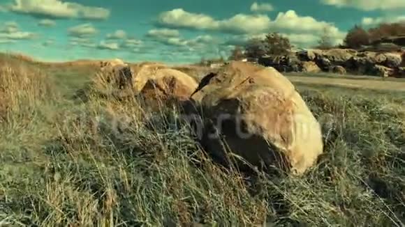风和岩石下的草风和岩石下的草视频的预览图