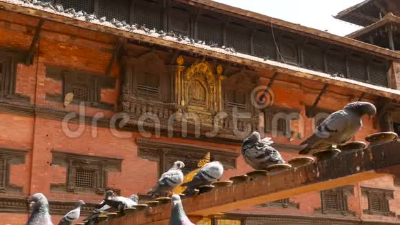 美丽的印度教寺庙的外部屋顶尼泊尔阳光下印度教寺庙黄金元素的外部建筑视频的预览图