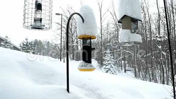 在明尼苏达州的暴风雪中冬天有雪覆盖的鸟类喂食者视频的预览图