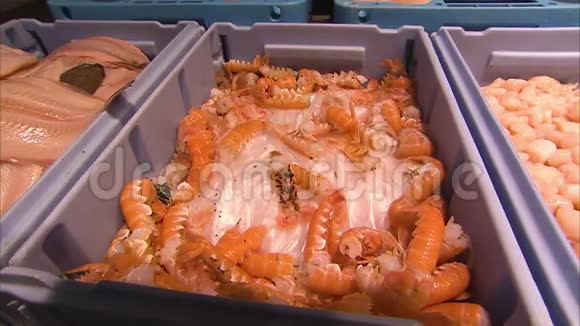 把一盒大虾放在冰上视频的预览图