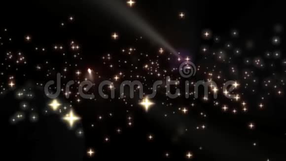 神奇的明星雷视频的预览图