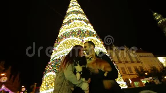 情侣恋爱亲吻户外圣诞树在背景上圣诞快乐新年快乐视频的预览图