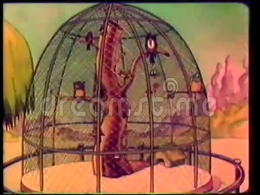 戴着笼中的猫头鹰视频的预览图
