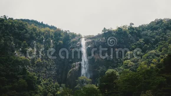 美丽的宽景大丛林瀑布冲下野生热带斯里兰卡森林视频的预览图