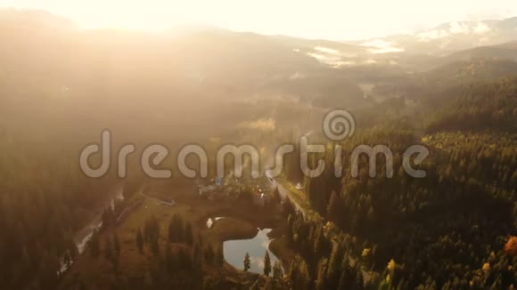空中飞车空中森林大雾视频的预览图