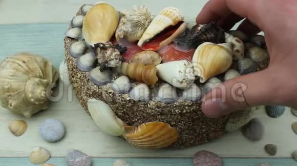 贝壳和棺材视频的预览图