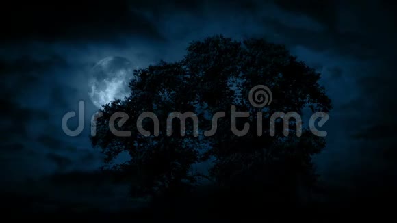 大树后的月亮乌云密布视频的预览图