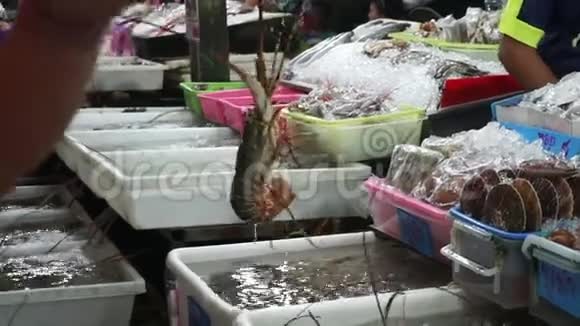 泰国普吉市场的新鲜活海鲜大刺龙虾视频的预览图