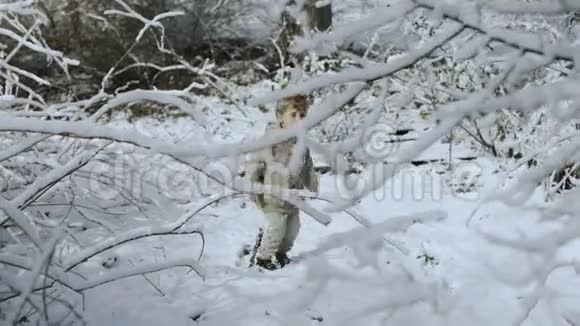 冬天森林里美丽的金发小男孩跳高清视频的预览图