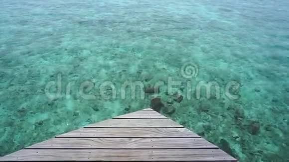 大鱼在马尔代夫的豪华度假胜地游泳视频的预览图