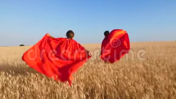 穿着红色斗篷的孩子们扮演超级英雄跑过一片成熟的麦田视频的预览图