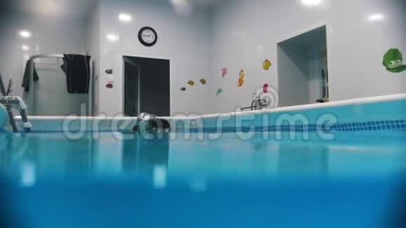 脑瘫婴儿水上康复手术孩子们在教练的背上在水下游泳视频的预览图
