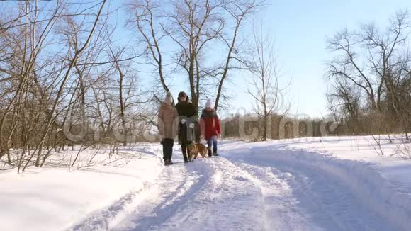 母亲和她的女儿和狗在圣诞节假期在冬季公园散步家人与心爱的狗散步视频的预览图
